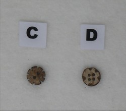 C - D - Boutons coco naturel dcor cisel - diamtre 10 mm