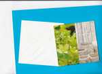 Chque cadeau + enveloppe