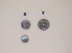 S - Gris (diamètres 18 et 22 mm) / T - Gris (diamètre 28 mm)