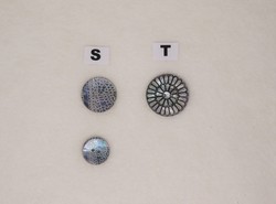 S - Gris (diamtres 18 et 22 mm) / T - Gris (diamtre 28 mm)