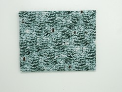 C - Sapins enneigs