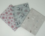 NOEL GRIS